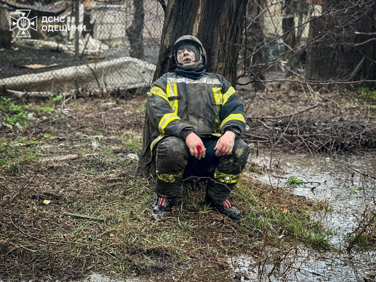 Миниатюра 5