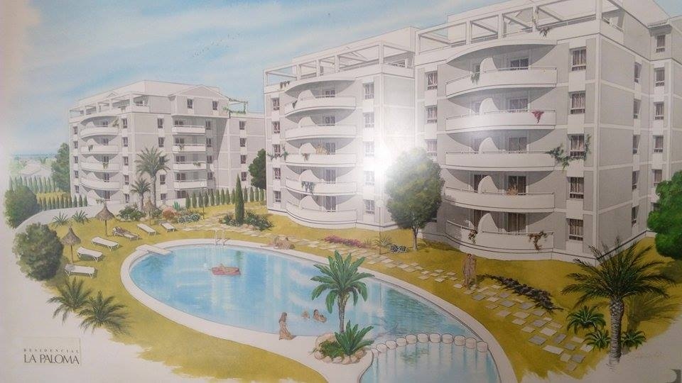 la paloma (1)