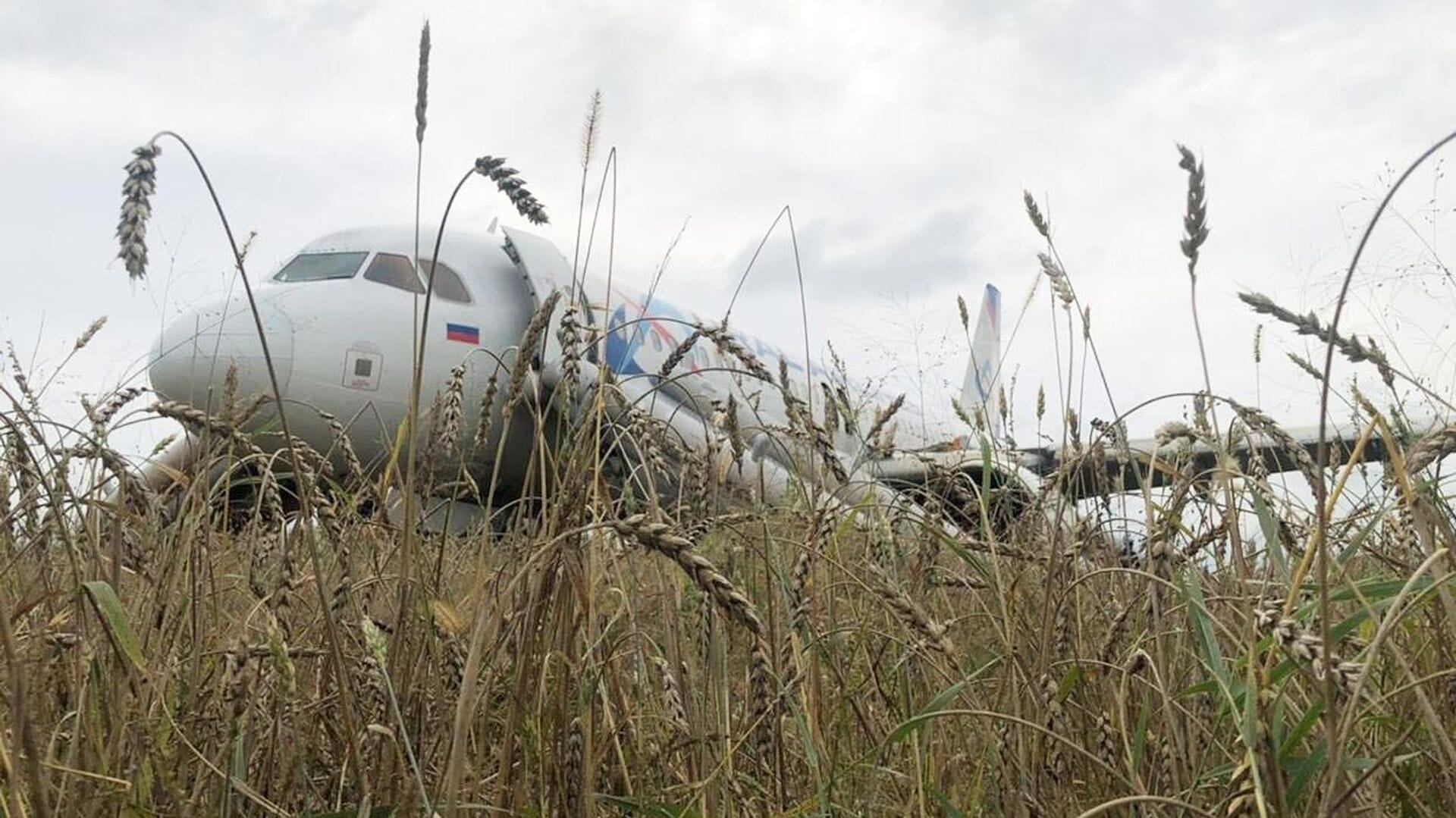 У самолета, севшего в поле под Новосибирском, оставалось топлива на пять минут